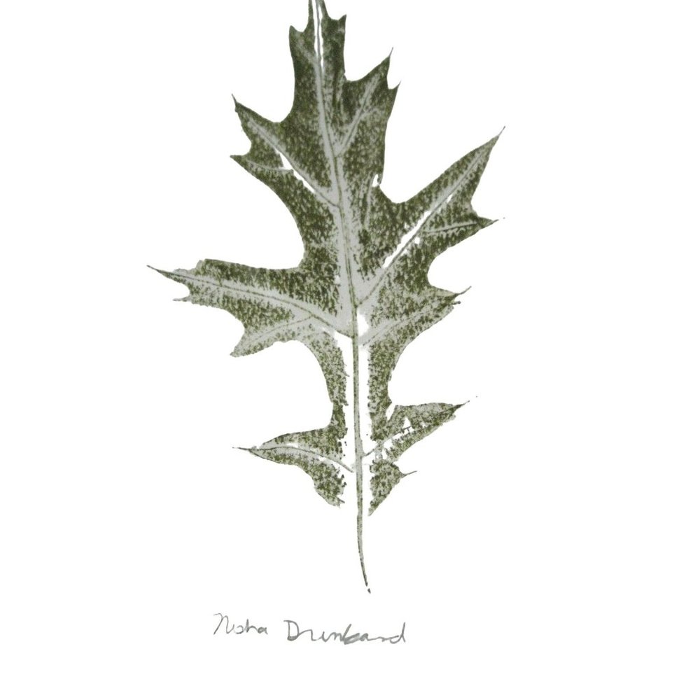 Print Leaf Color Decor Monoprint Botanical 5 x 7 In Green Leaves Mat Matted Oak - Picture 1 of 4